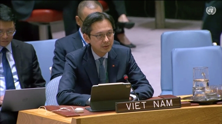 Vietnam committed to future of U.N. peacekeeping operations: Ambassador